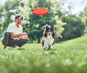 Hombre juega con su perro en un parque