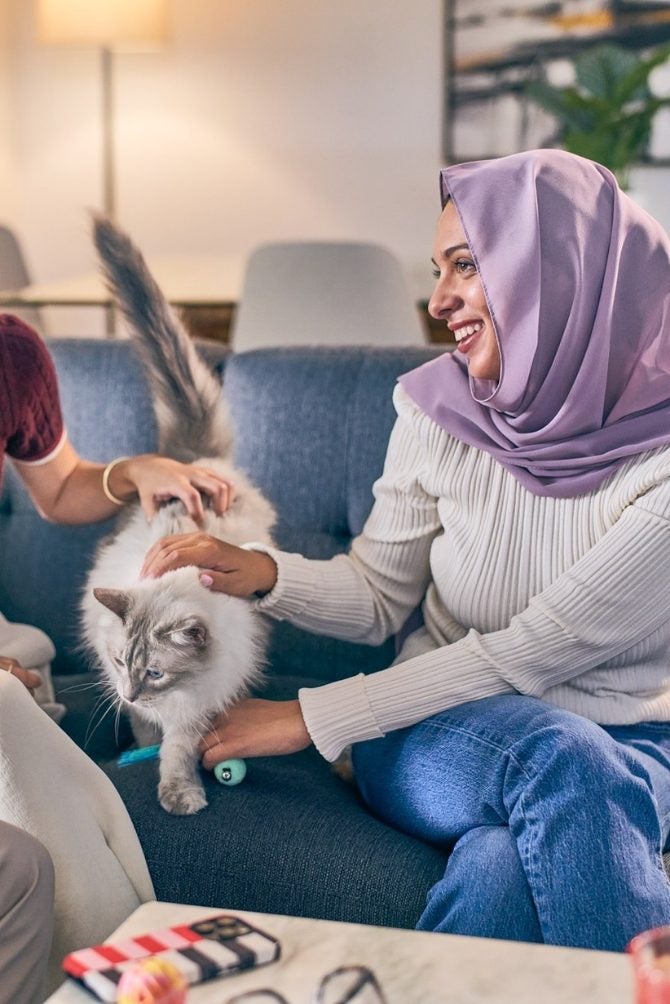 Amigos juegan con un gato en la sala