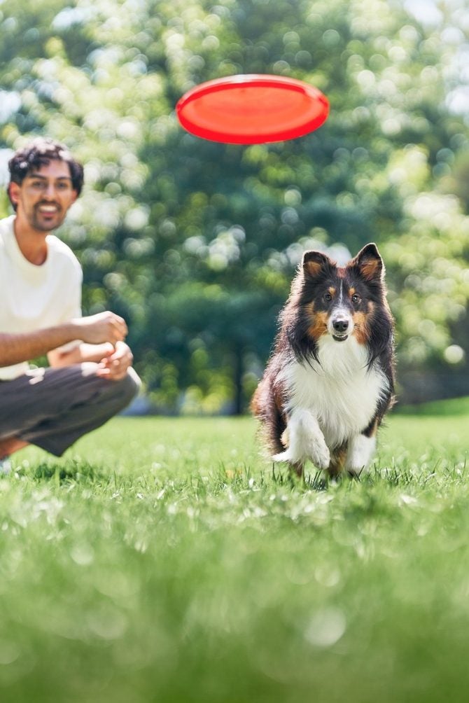 Hombre juega con su perro en un parque