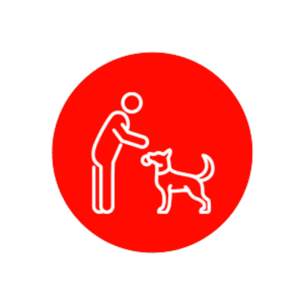 Ícono de una persona con un perro