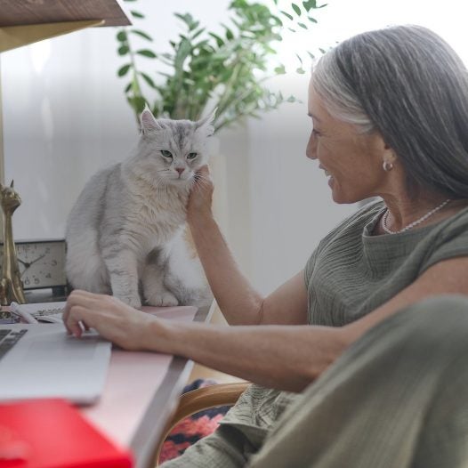 Mujer acaricia a su gato mientras trabaja