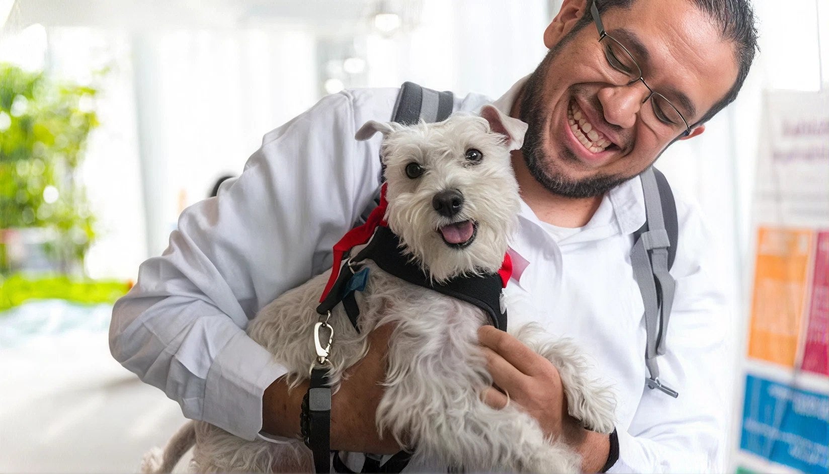 Hombre sonriente carga a su perro en la oficina