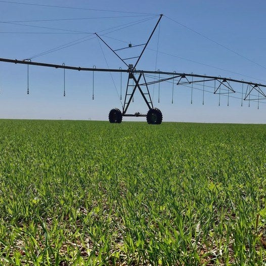 Sistema de riego de pivote sobre un cultivo verde
