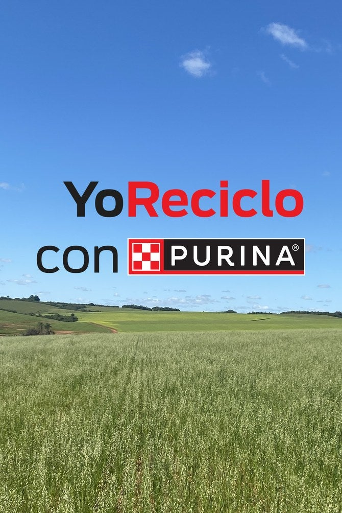 Campo verde bajo un cielo azul con el logo de Yo Reciclo con Purina®