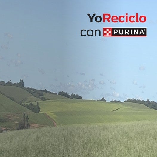 Campo verde bajo un cielo azul con el logo de Yo Reciclo con Purina®