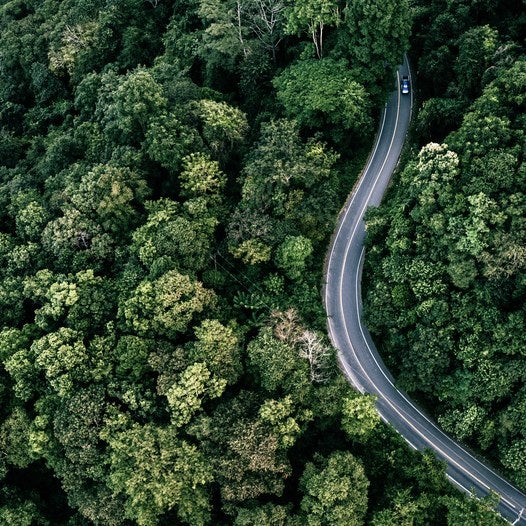 Vista aérea de una carretera entre árboles