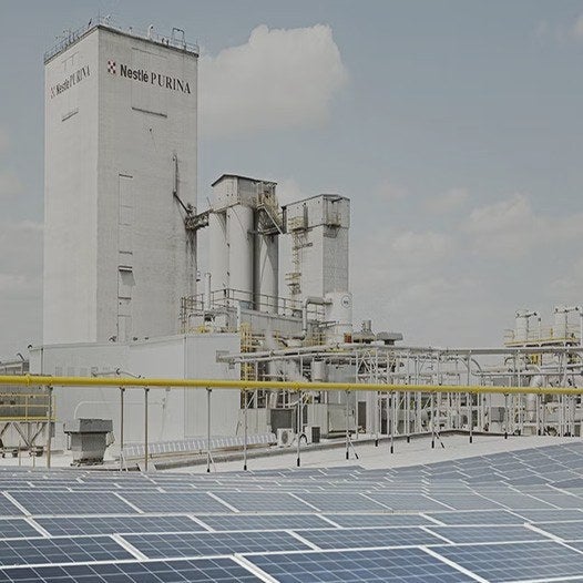 Planta de Nestlé Purina con paneles solares