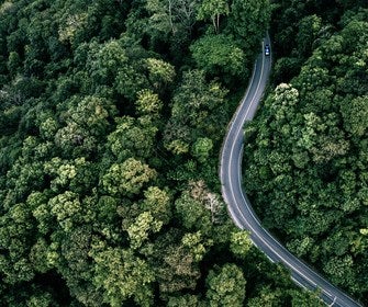 Vista aérea de una carretera entre árboles
