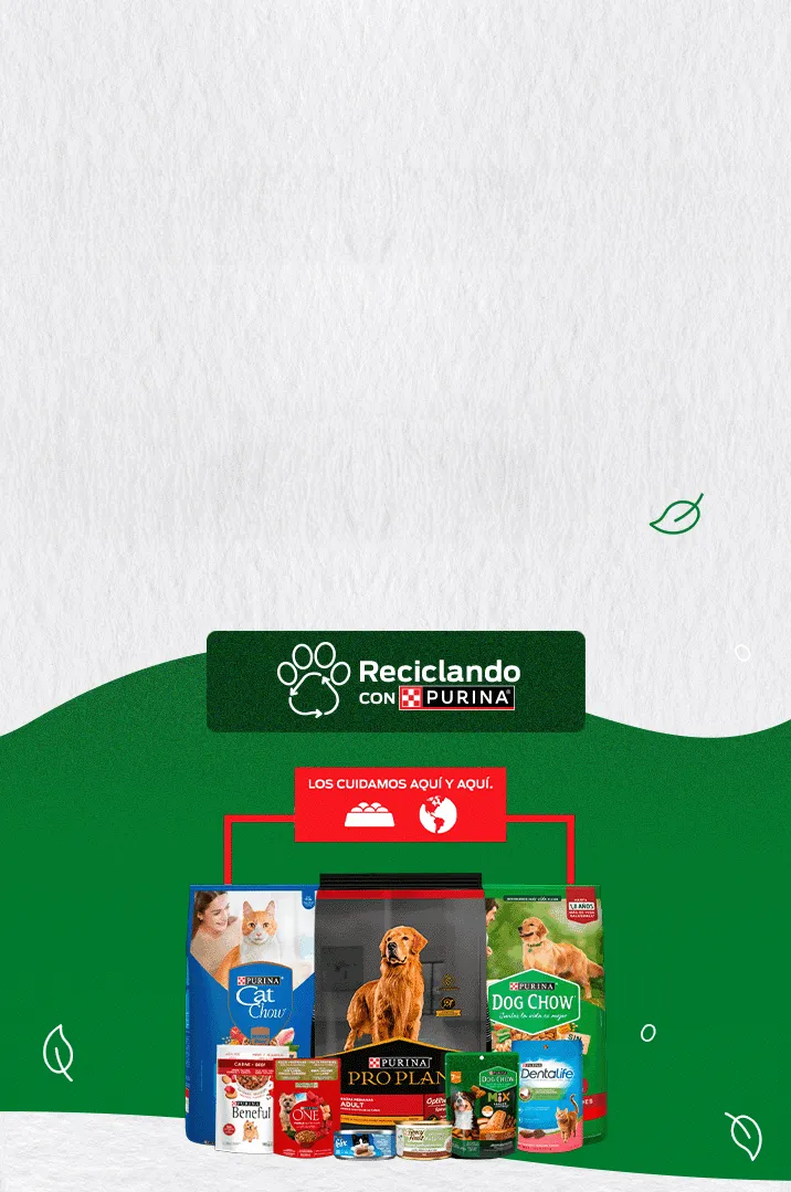 Alt Placeholder