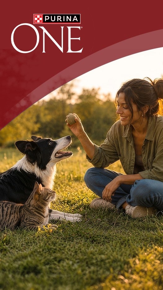 Mujer jugando con un perro y un gato en el pasto, con el logo de Purina One