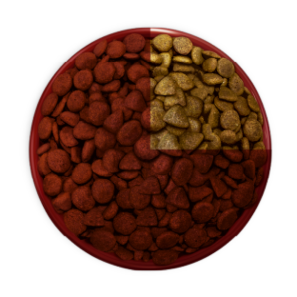 Alt Placeholder