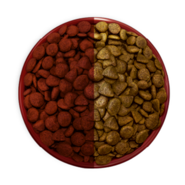Alt Placeholder