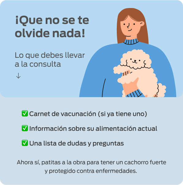 Ilustración de una mujer cargando a un poodle con lo que debes llevar a la consulta veterinaria