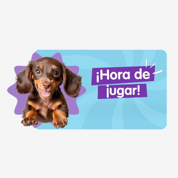 Cachorro salchicha con el texto Hora de jugar