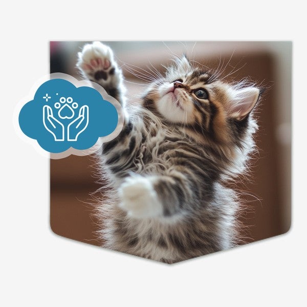 Gatito jugando con el ícono de cuidado