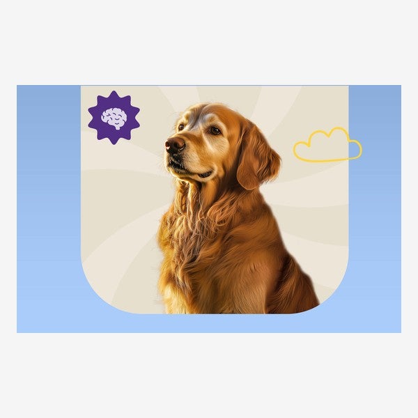 Perro senior golden con el ícono de cambios cognitivos
