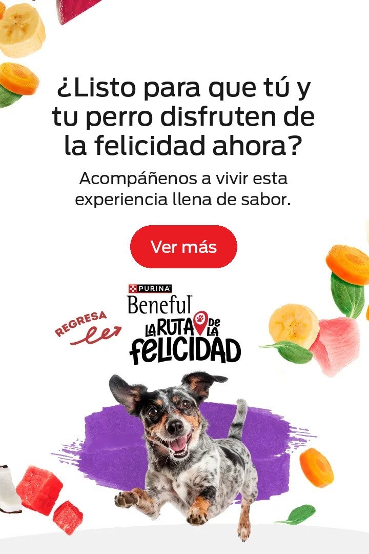 ¿Listo para que tú y tu perro disfruten de la felicidad ahora? Regresa la Ruta de la Felicidad Beneful.
