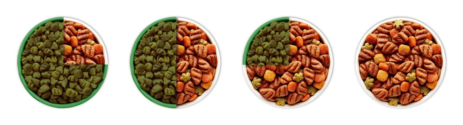 Cuatro platos de croquetas que muestran cómo aumenta el nuevo alimento: 25%, 50%, 75% y 100%