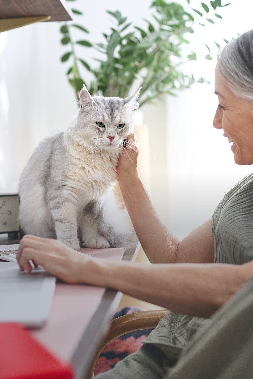 Mujer acaricia a su gato junto a la computadora