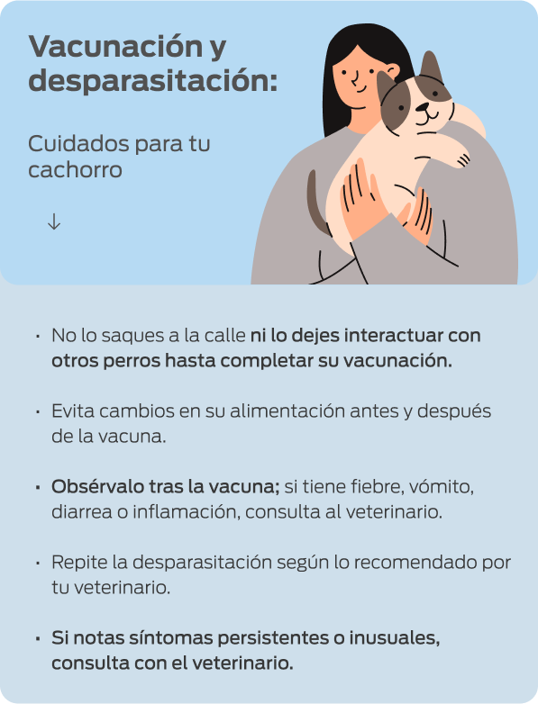 Ilustración de una mujer abrazando a su perro con cuidados para la vacunación y desparasitación del cachorro