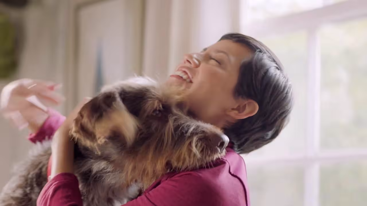 Purina® México para perros adultos mayores
