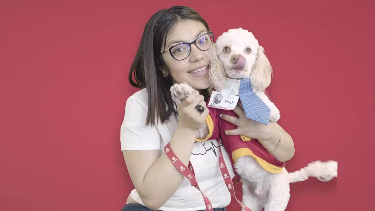 Pets at work Nestlé® Purina® México | Día del Perro
