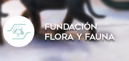 purina-fundacion-flora-y-fauna.png.webp?itok=ItSBTuHl