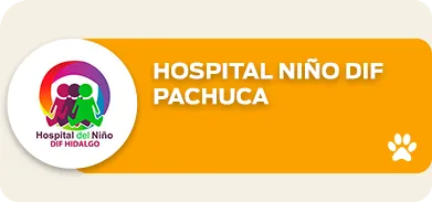 hospital-nin%CC%83o-dif-pachuca.png.webp?itok=rBOvsoff