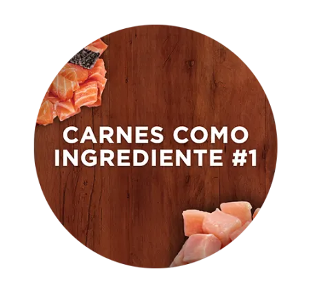 Carnes como ingrediente #1