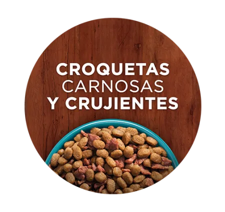 Croquetas carnosas y crujientes