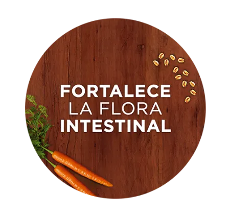 Fortalece la flora intestinal