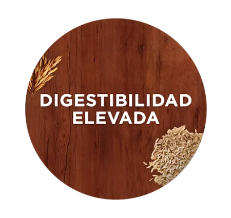 Digestibilidad elevada