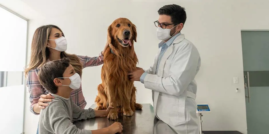 vacunas-para-tus-perros.jpg
