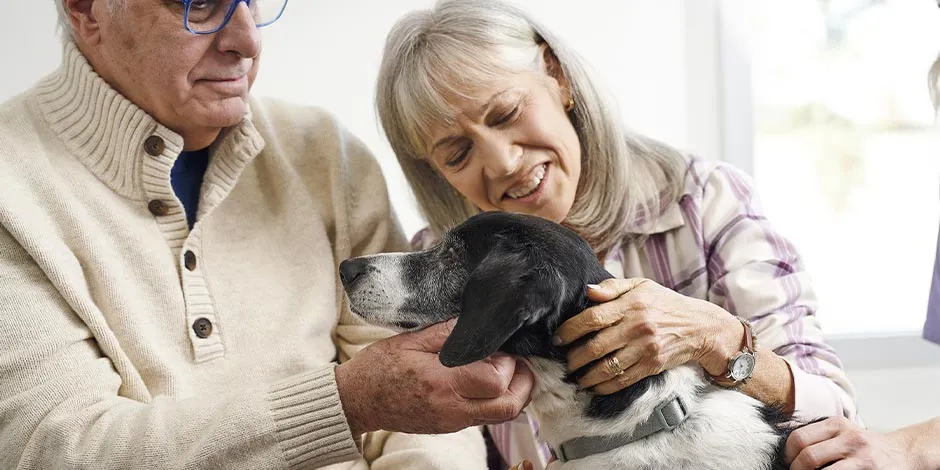 La proteína será necesaria para toda la vida de los perros; en su vejez aún más. Perro senior con sus tutores.